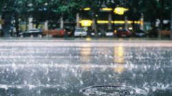 Rilis BMKG, Jatim Diguyur Hujan Tiga Hari Kedepan