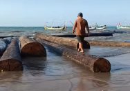 Viral! Warga Dungkek Sumenep Temukan Gelondongan Kayu di Pantai, Ada Label Perusahaan (Instagram @maduraholic)