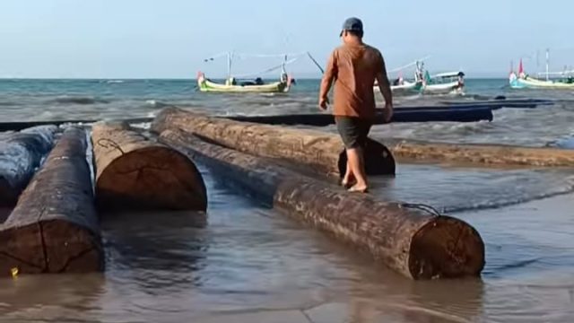 Viral! Warga Dungkek Sumenep Temukan Gelondongan Kayu di Pantai, Ada Label Perusahaan (Instagram @maduraholic)