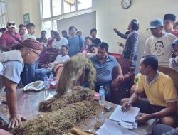 Bawang Mas Group Mulai Beli Tembakau Petani, Minta Jaga Kualitas
