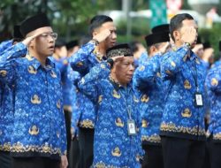 Selamat! Sebanyak 2.835 Tenaga Honorer di Daerah Ini Diusulkan Jadi PPPK Paruh Waktu