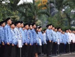 BKN Siapkan Tahapan Pengangkatan PPPK Paruh Waktu 2025