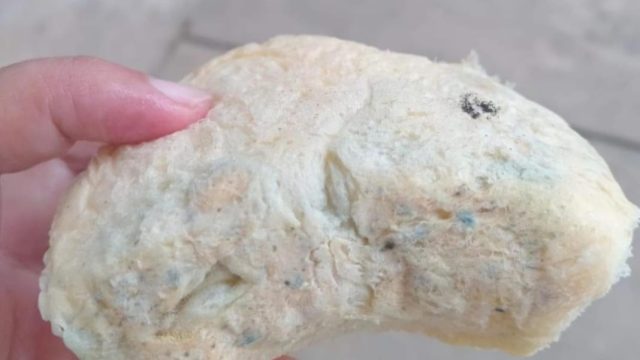 Roti Berjamur di Ambunten, SPPG Yayasan Garuda Jaya Tuai Keluhan Wali Murid (For Yakusa)