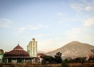 Potret ilustrasi (Pixabay)