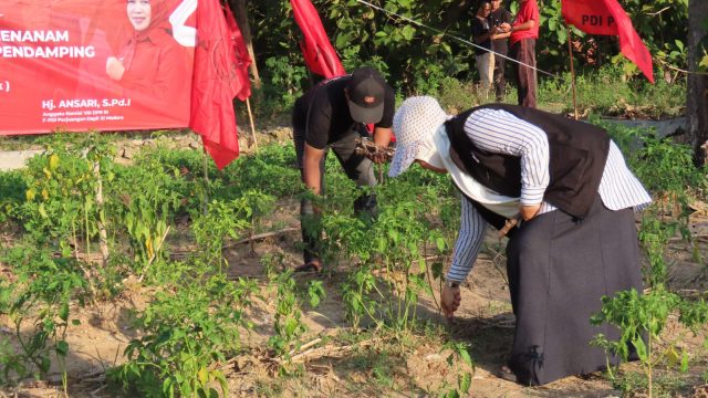 Hj. Ansari Gencarkan Gerakan Pangan, Dari Bantuan Petani hingga Aksi Tanam