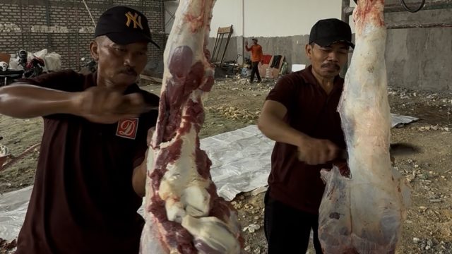 PT ESM Sembelih 16 Sapi Kurban, Daging Dibagikan kepada Karyawan dan Warga