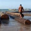 Viral! Warga Dungkek Sumenep Temukan Gelondongan Kayu di Pantai, Ada Label Perusahaan (Instagram @maduraholic)