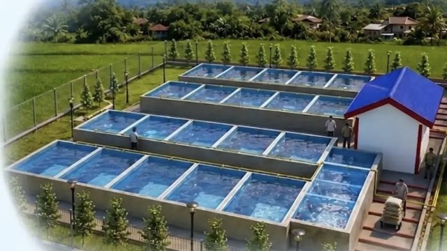 Pamekasan Jadi Penerima Terbanyak Program Budi Daya Ikan Tematik di Madura